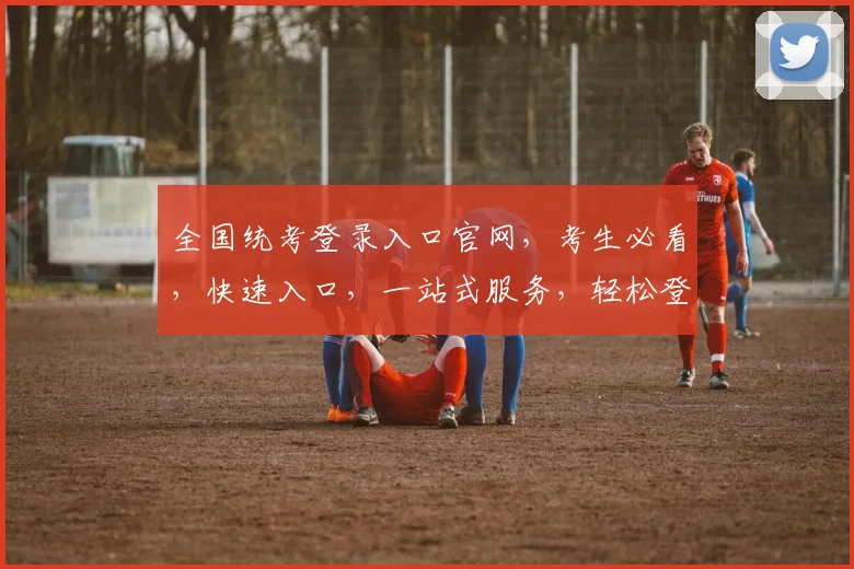 全国统考登录入口官网，考生必看，快速入口，一站式服务，轻松登陆，三步完成