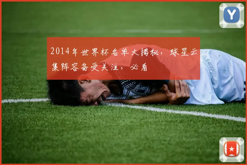 2014年世界杯名单大揭秘，球星云集阵容备受关注，必看