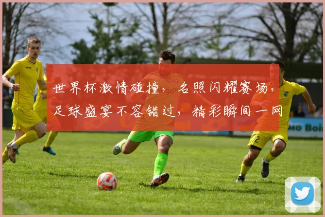 世界杯激情碰撞，名照闪耀赛场，足球盛宴不容错过，精彩瞬间一网打尽