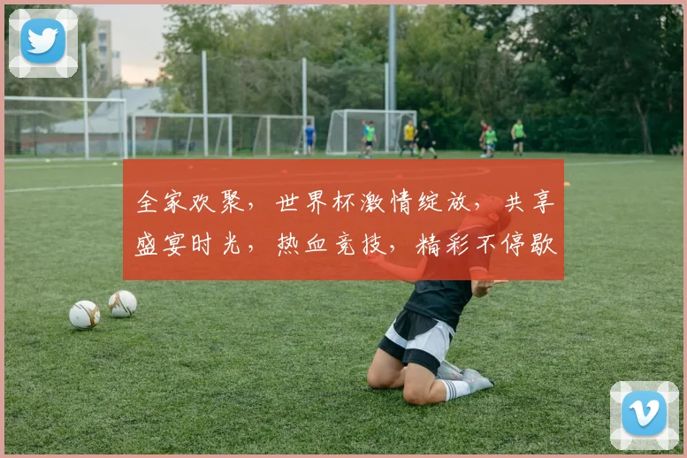 全家欢聚，世界杯激情绽放，共享盛宴时光，热血竞技，精彩不停歇，共筑足球梦