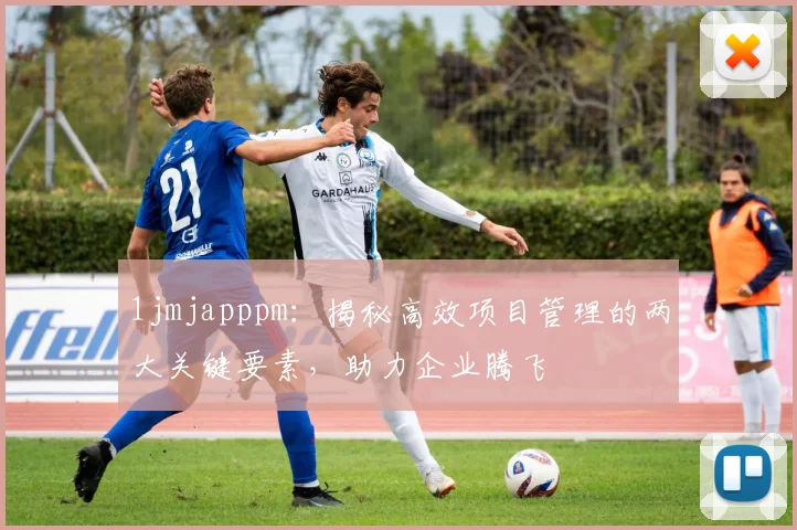 1jmjapppm：揭秘高效项目管理的两大关键要素，助力企业腾飞