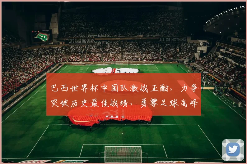 巴西世界杯中国队激战正酣，力争突破历史最佳战绩，勇攀足球高峰